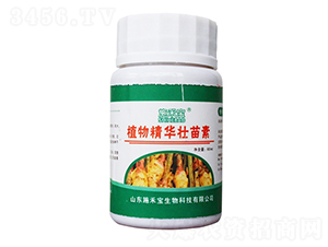 ֲ�ﾫ�A������-ʩ�̌�