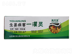 ��������һ���`���䣩-ʩ�̌�