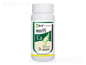 �Ǵ��}-�������