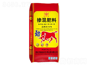 �������19-19-19-ʩ����