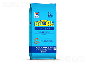 ������͏�(f��)�Ϸ���17-23-5-��(y��u)����-�S��(l��)�ʘI(y��)