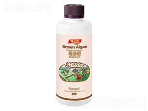 ������Ǐ�(f��)��ԭҺ-������-�S�A�ʘI(y��)