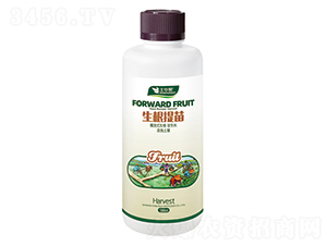 ���������-�S�A��-�S�A�ʘI(y��)