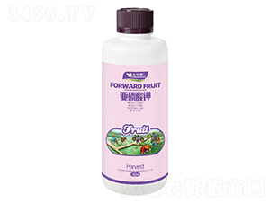 �������-�S�A��-�S�A�ʘI(y��)