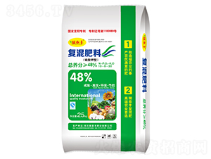 ������͏�(f��)�����10-8-30-ʩ���S