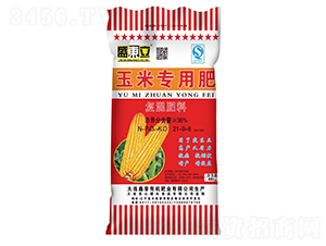 ���׌��Ï�(f��)�����21-9-6-ʢ�|��-����