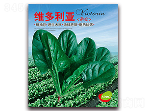 �S������-���˷N��-�I�ھ���