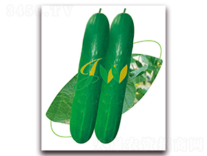 ���S6̖(h��o)-�S�ϷN��-�I(y��ng)�ھ���