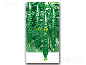 �n��100-�S�ϷN��-�I(y��ng)�ھ���