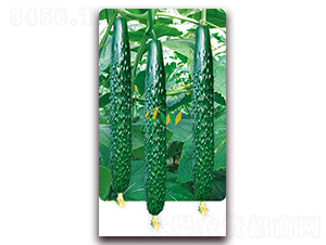 ����101-�S�ϷN��-�I(y��ng)�ھ���