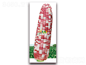 �f(w��n)��ǧ�t-�rʳ���׷N��-�I(y��ng)�ھ���