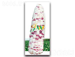 ��Ŵ2000-�rʳ���׷N��-�I(y��ng)�ھ���