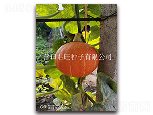 ��̫�2̖(h��o)-�ϹϷN��-�I(y��ng)�ھ���