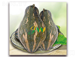 �����Ϲ�-�ϹϷN��-�I(y��ng)�ھ���