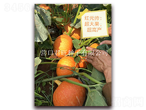 �tԪ��-�ϹϷN��-�I(y��ng)�ھ���