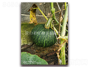 ������-�ϹϷN��-�I�ھ���