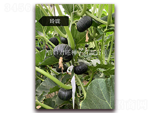 �ᭇ-�ϹϷN��-�I�ھ���