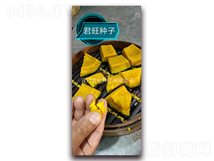 �F������-�ϹϷN��-�I�ھ���