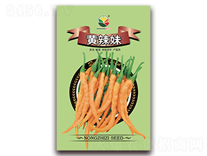 �S����-�����N��-�r(n��ng)֮��