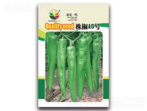 �꽷15̖-�����N��-�r(n��ng)֮��