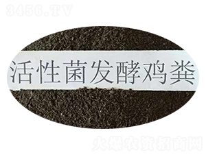 ���Ծ��l(f��)���u��-혳��ЙC(j��)��