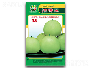 ������-��ϷN��-�r(n��ng)֮��