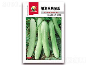 ��������S��-�S�ϷN��-�r(n��ng)֮��