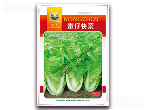 ���п��-�ײ˷N��-�r(n��ng)֮��