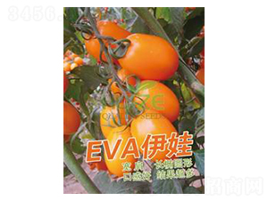 ����-���ҷ��ѷN��-��ػݝ�