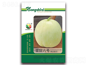 ѩ����̖-��ϷN��-�r(n��ng)֮��