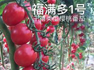 ���M��1̖-���ҷ��ѷN��-��ػݝ�