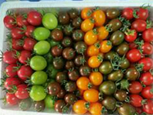 ������-���ҷ��ѷN��-��ػݝ�