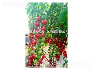 ���M��5̖-���ҷ��ѷN��-��ػݝ�