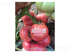 ������-�۹����ѷN��-��ػݝ�