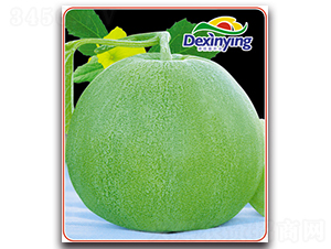 �G��ʯ-��ϷN��-����ӯ�r(n��ng)�I(y��)