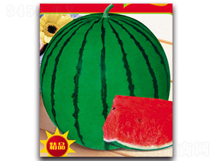 ����-���ϷN��-����ӯ�r(n��ng)�I(y��)