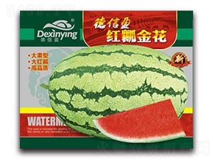 �tȿ��-���ϷN��-����ӯ�r(n��ng)�I(y��)