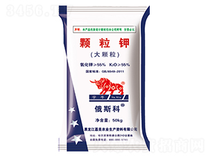 �w���-��ţ-����