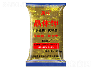 ���w�-��ţ-����