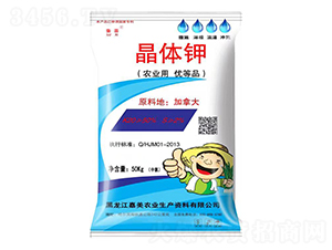 ���w�-��ϲ-����