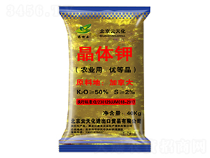 ���w�-������-����