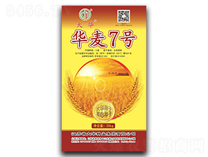 �A��7̖(h��o)-С���N��-���A�N�I(y��)