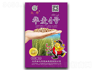 �A��4̖(h��o)-С���N��-���A�N�I(y��)