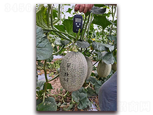 ����25-��ϷN��-���Դ