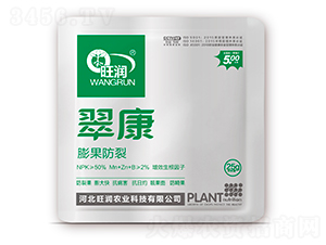 �俵��������ѣ�-����(r��n)