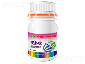 �ڷ۾��AҺ-�ֶ���-�W�׵�˹