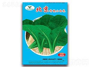 �����๣С�ײ˷N��-���ǷN�I(y��)