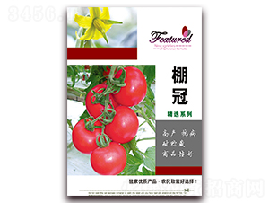 ���-���t���N��-���ǷN�I(y��)