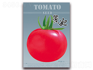 �F��-���t���N��-���ǷN�I(y��)