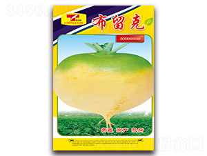 ������-�}���N��-���ǷN�I(y��)